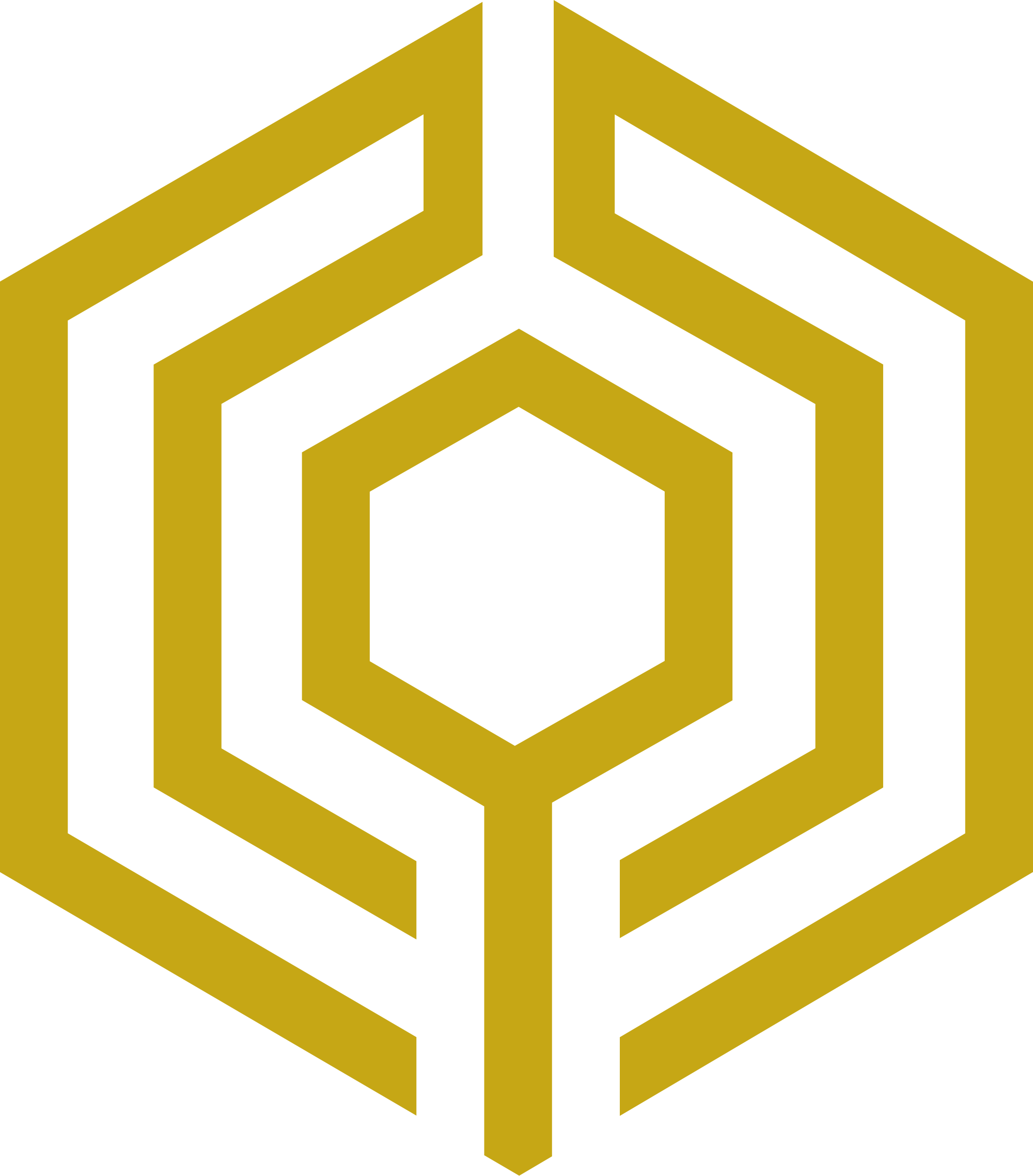 DominusID logo (yellow icon)